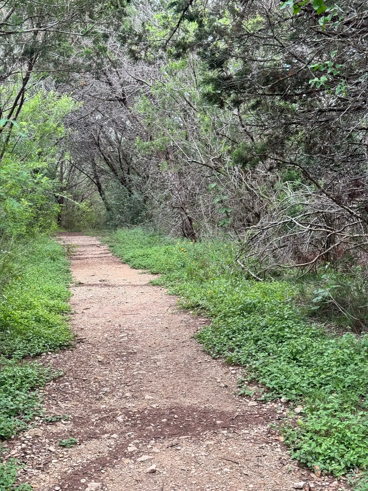 Blanco State Park
