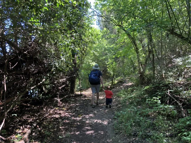 Blanco State Park