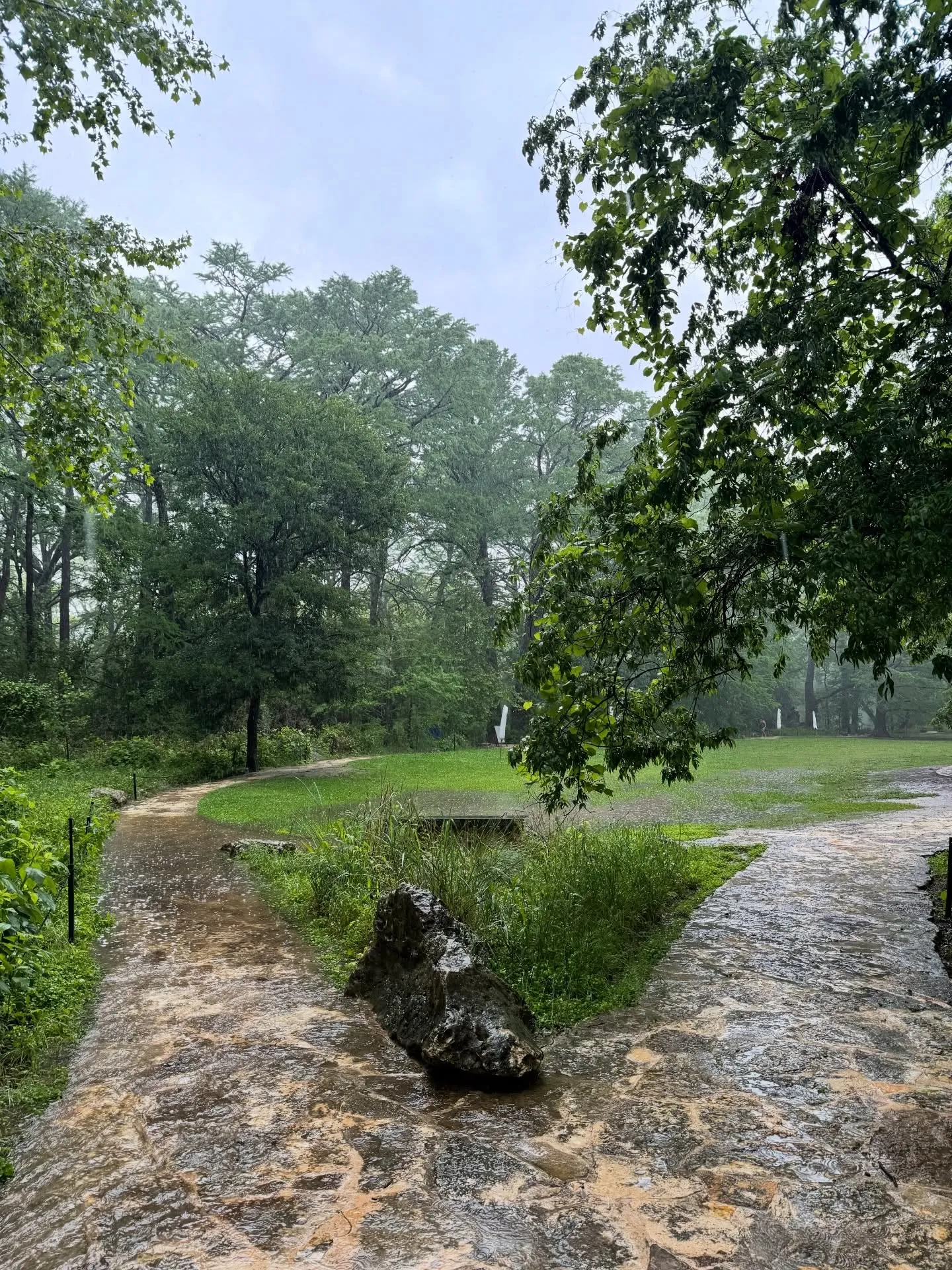Blue Hole Regional Park (Wimberley)