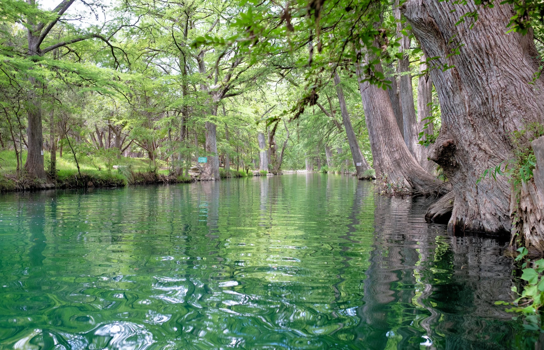 Blue Hole Regional Park (Wimberley)