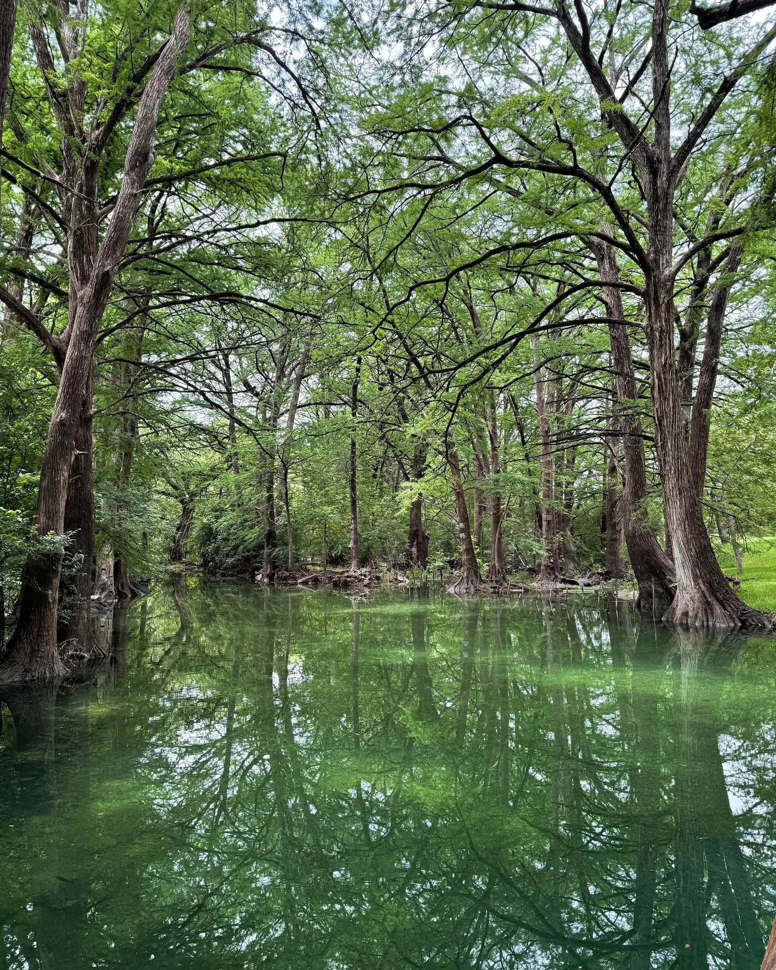 Blue Hole Regional Park (Wimberley)