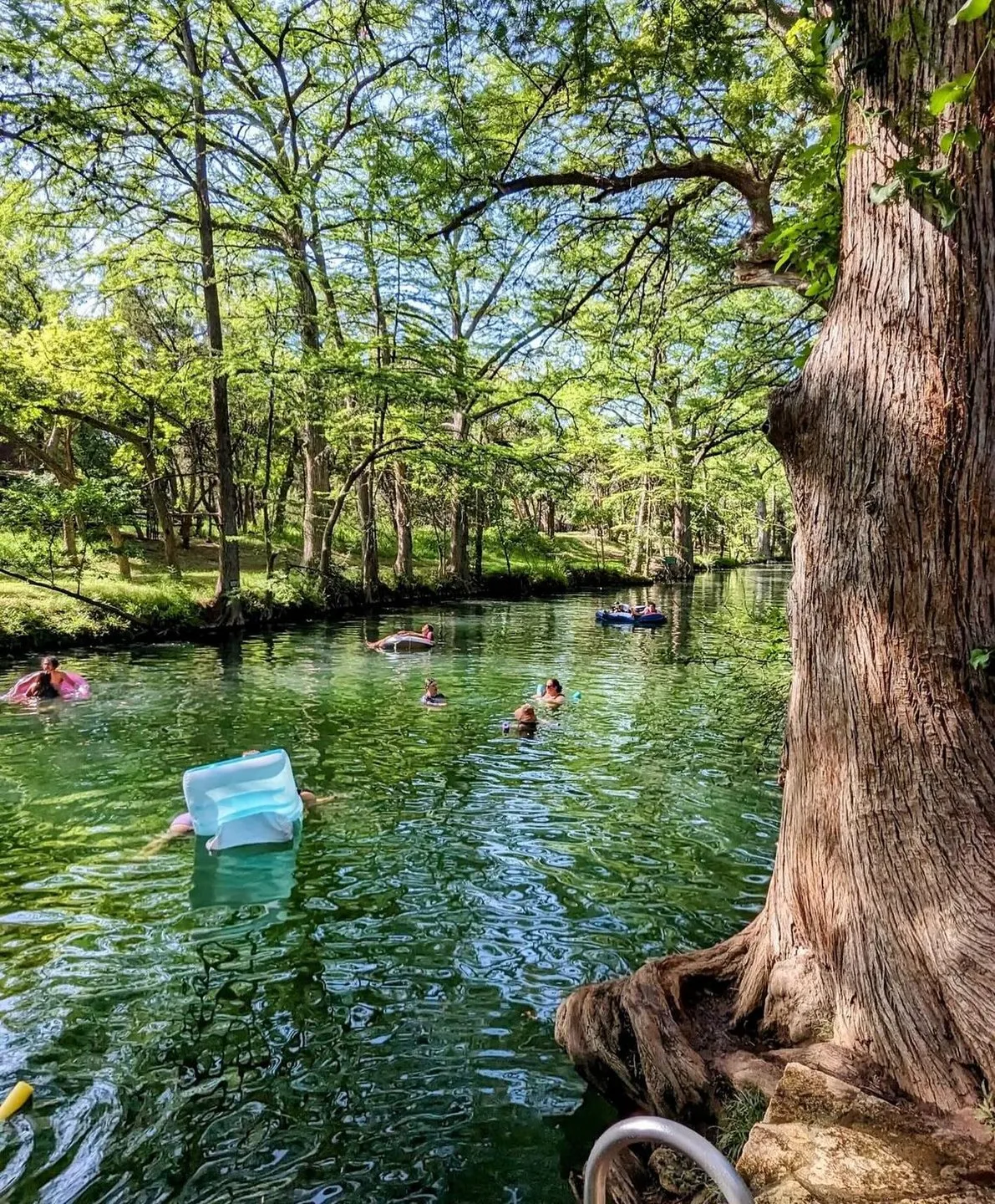 Blue Hole Regional Park (Wimberley)
