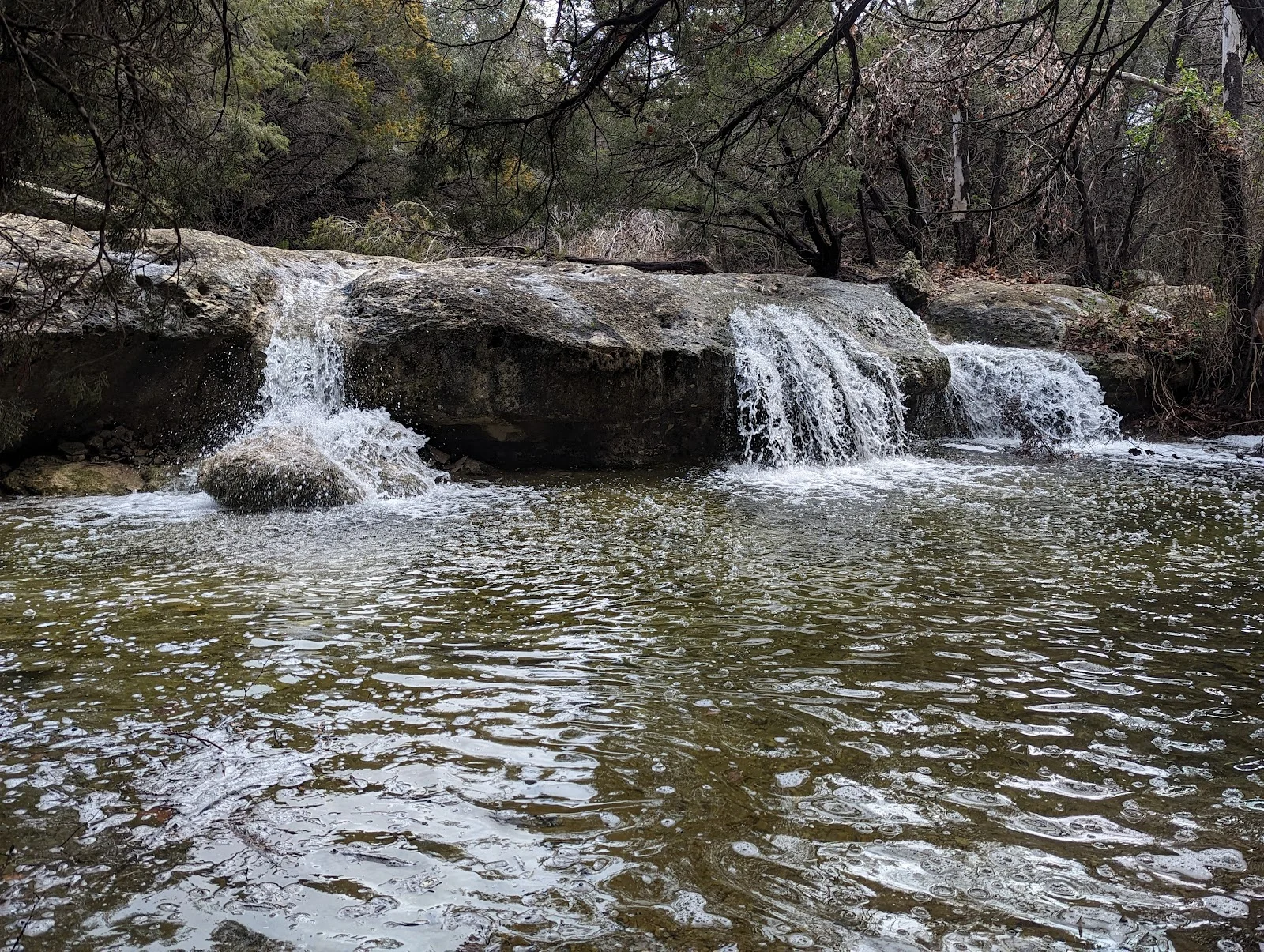 Commons Ford Ranch Metropolitan Park