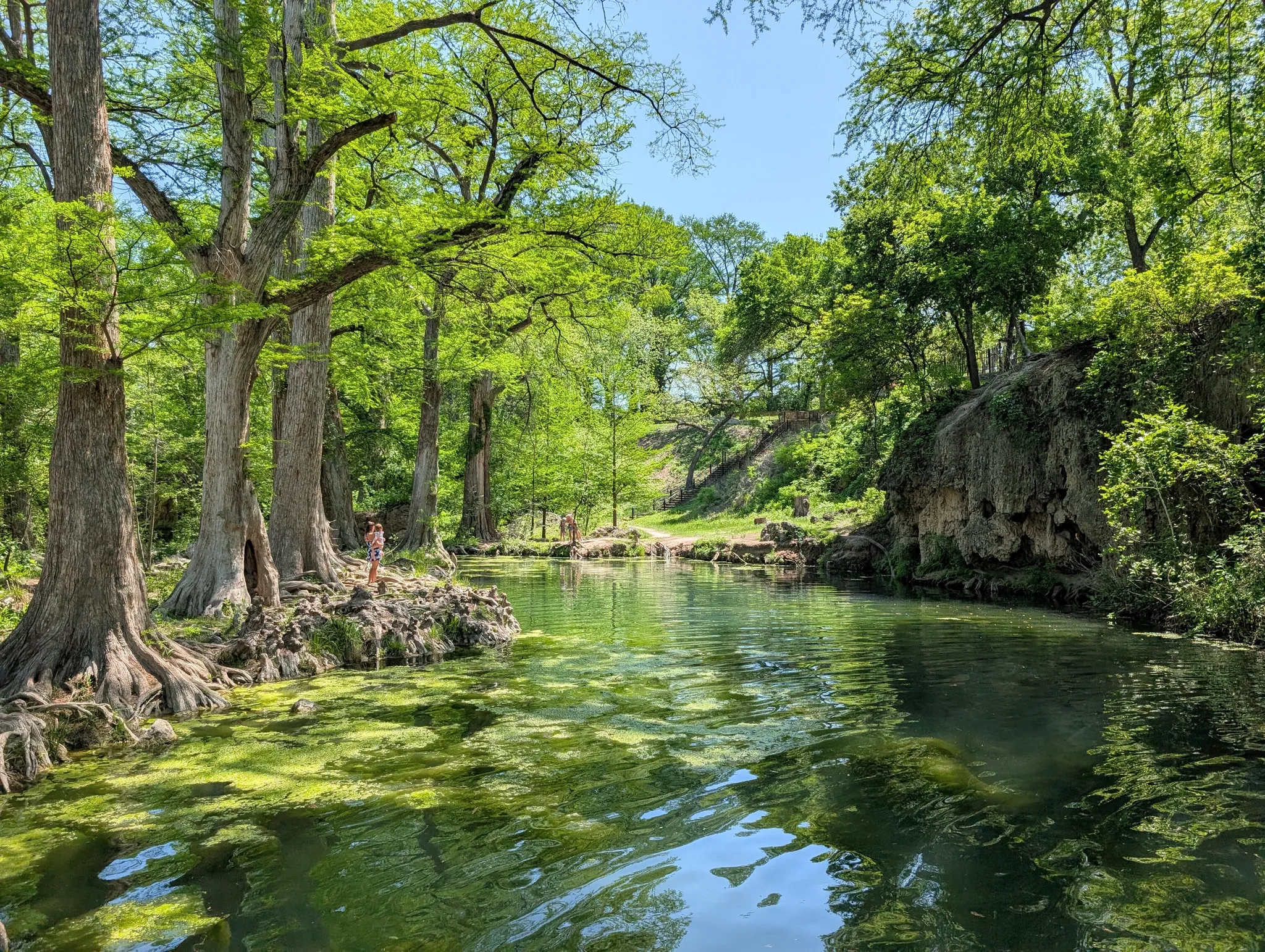 Krause Springs