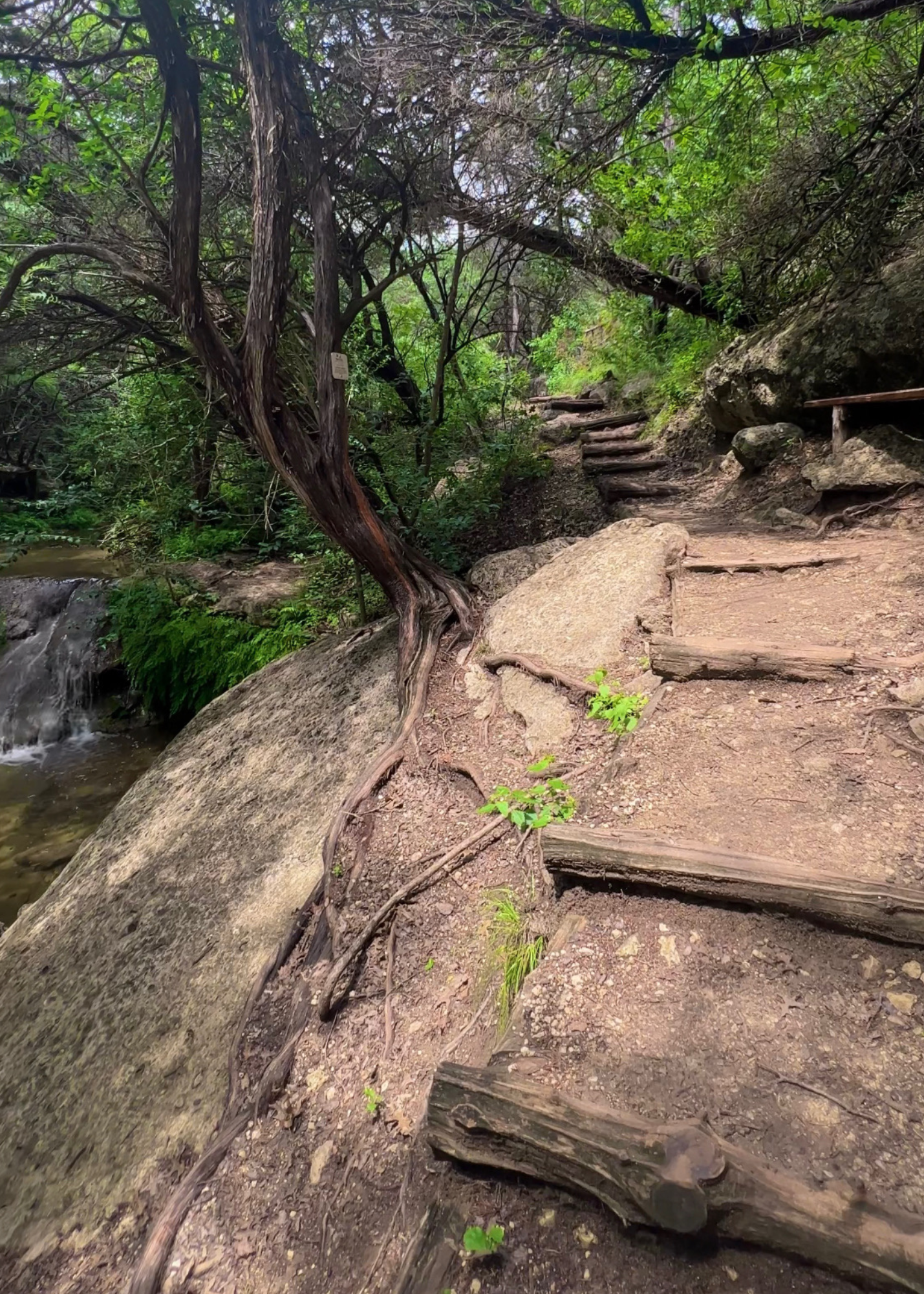 Little Fern Trail (River Place)