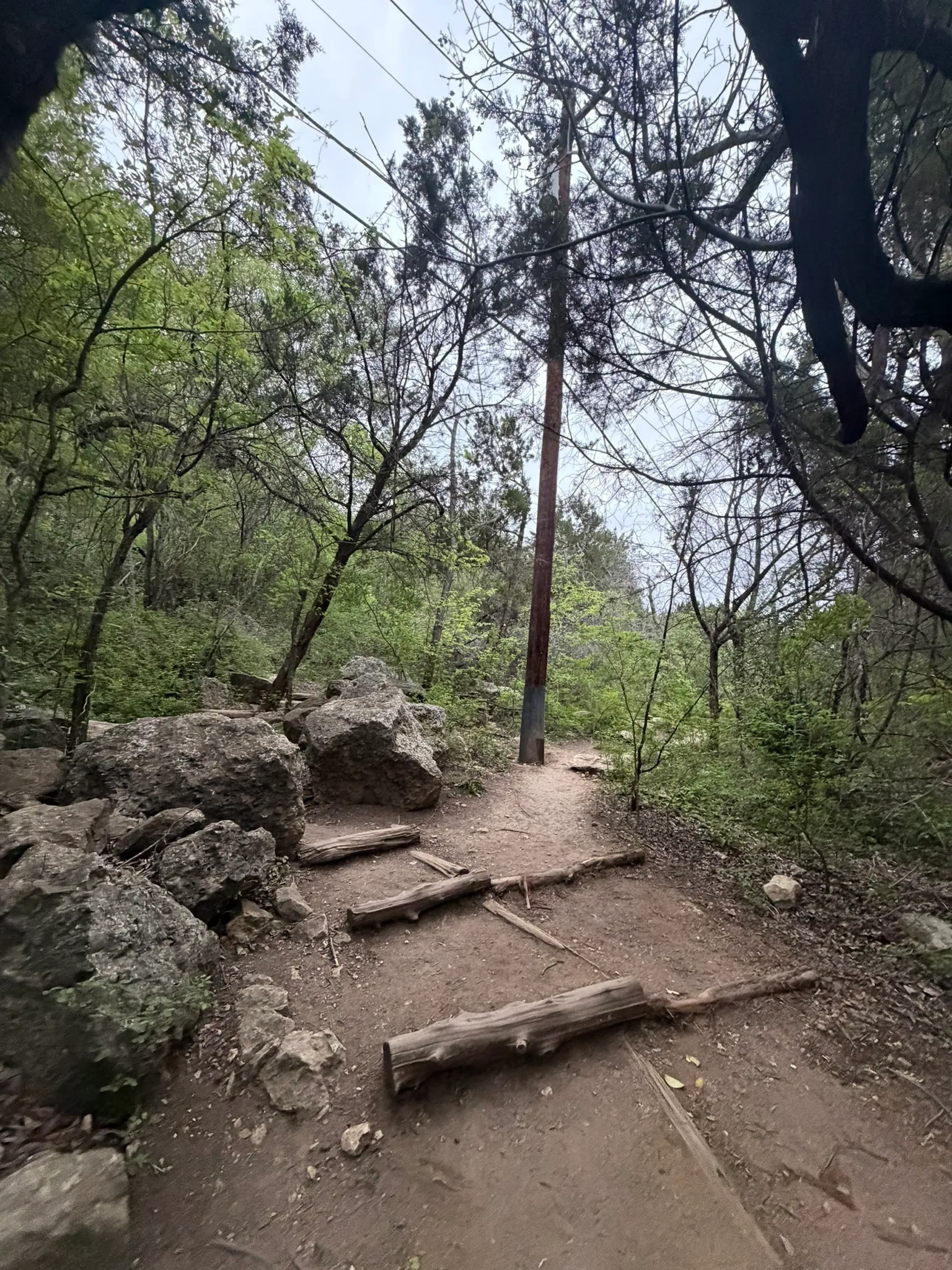 Little Fern Trail (River Place)