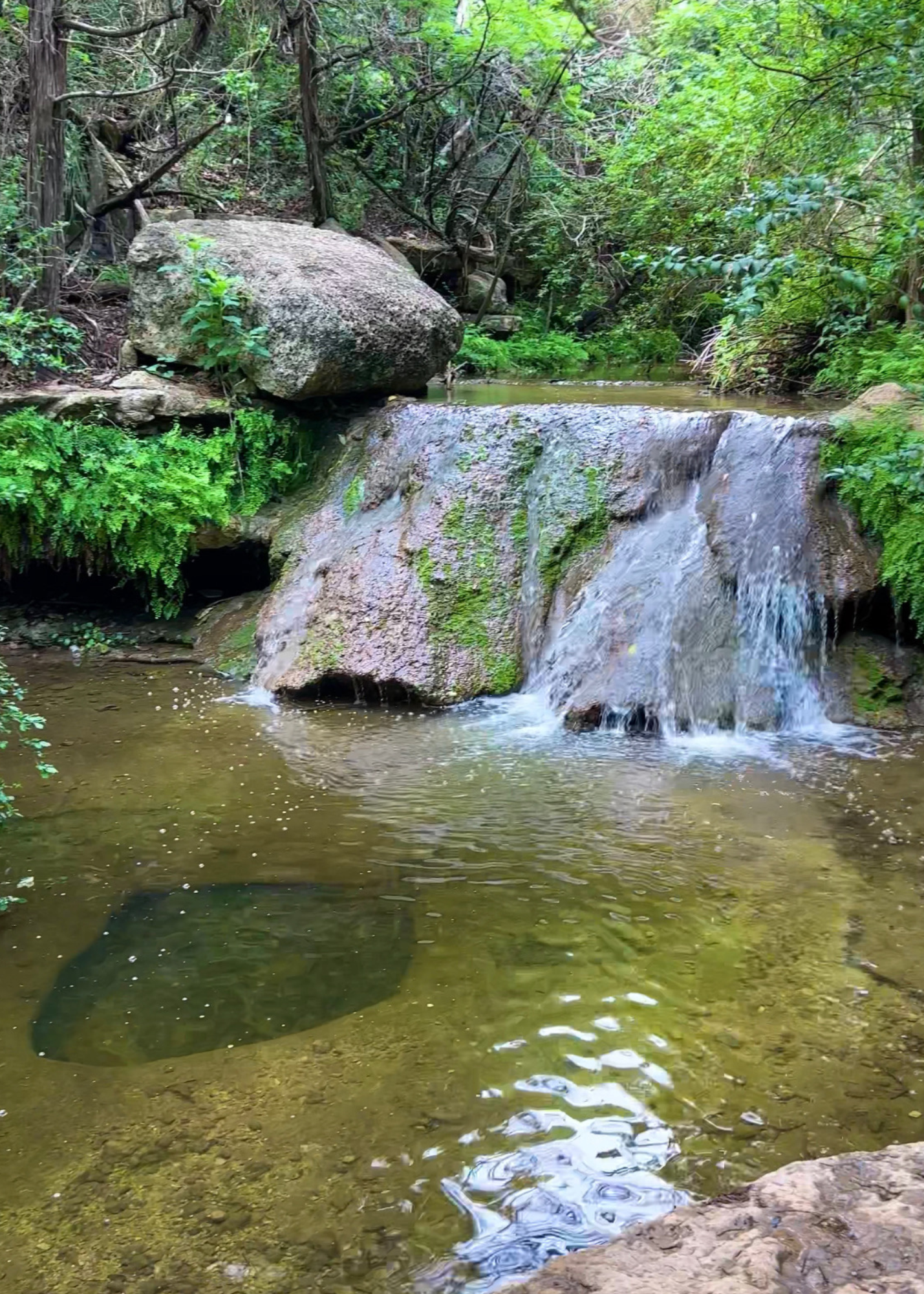 Little Fern Trail (River Place)