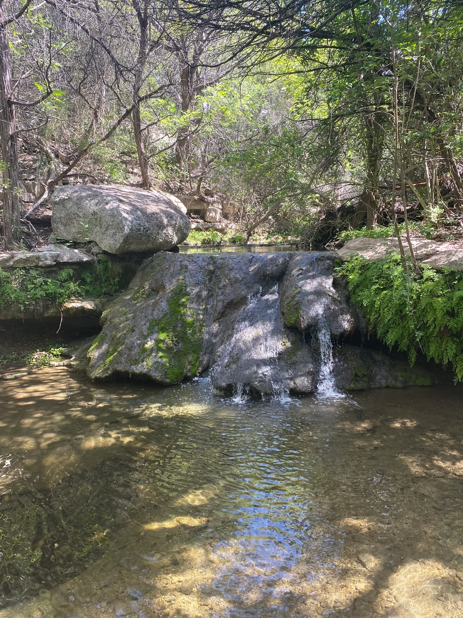 Little Fern Trail (River Place)