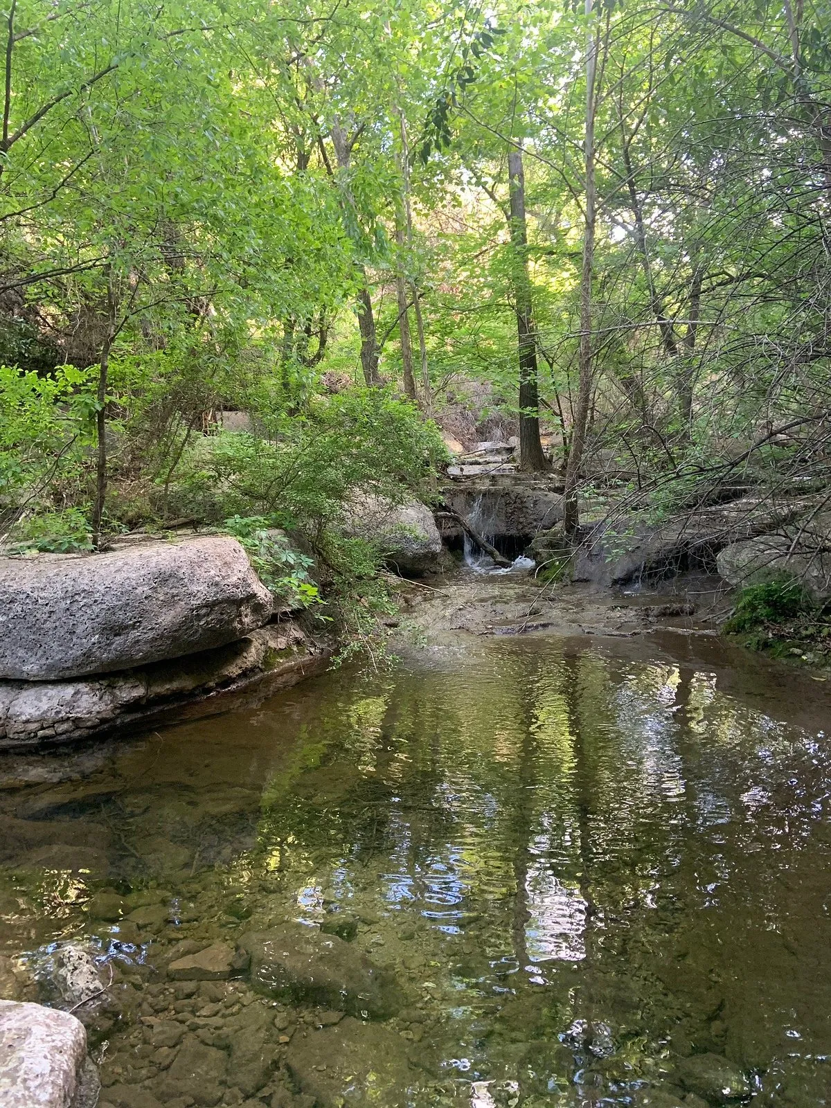 Little Fern Trail (River Place)