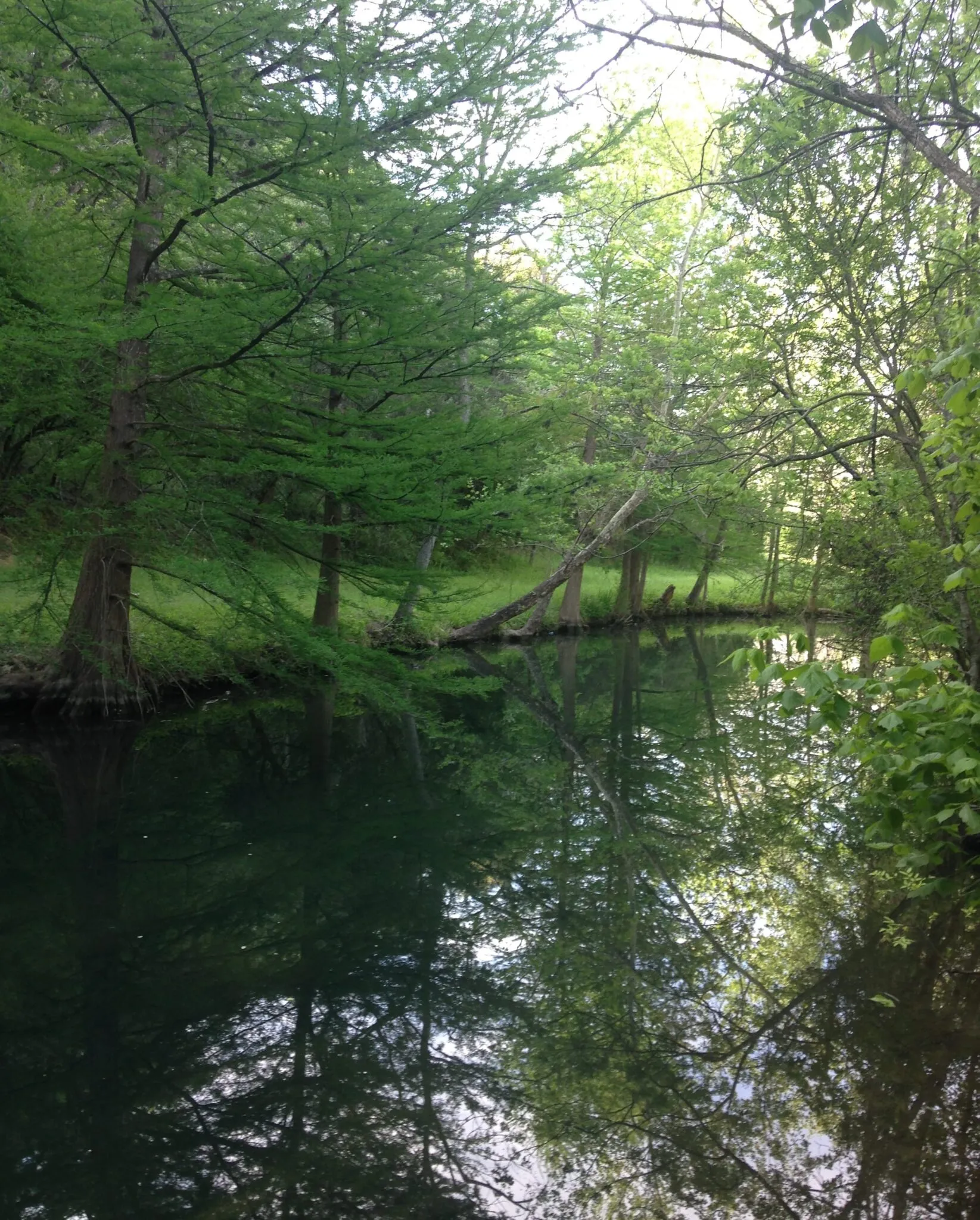 Little Fern Trail (River Place)