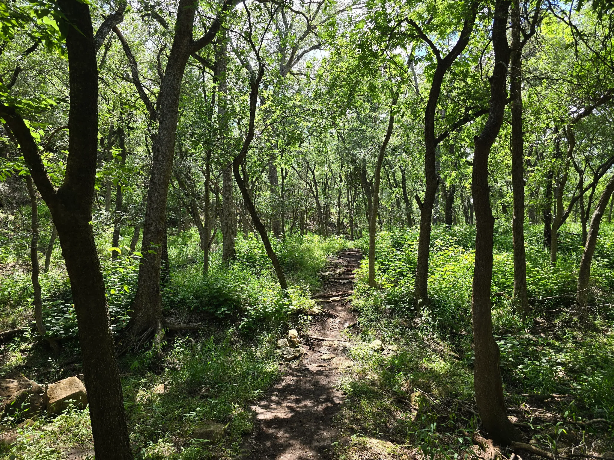 Rio Vista Park (San Marcos)
