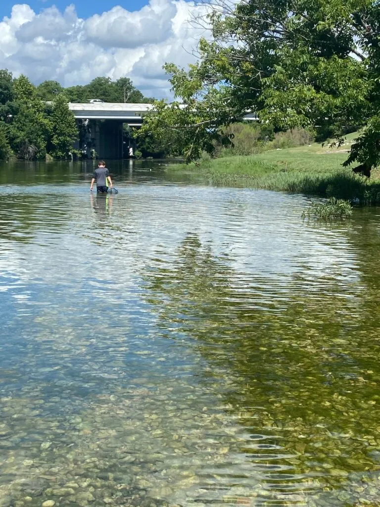 Salado Creek at Barrow Brewing