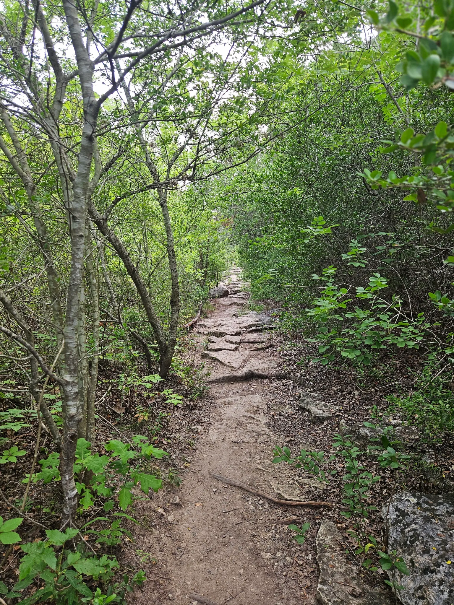 St. Edward’s Park