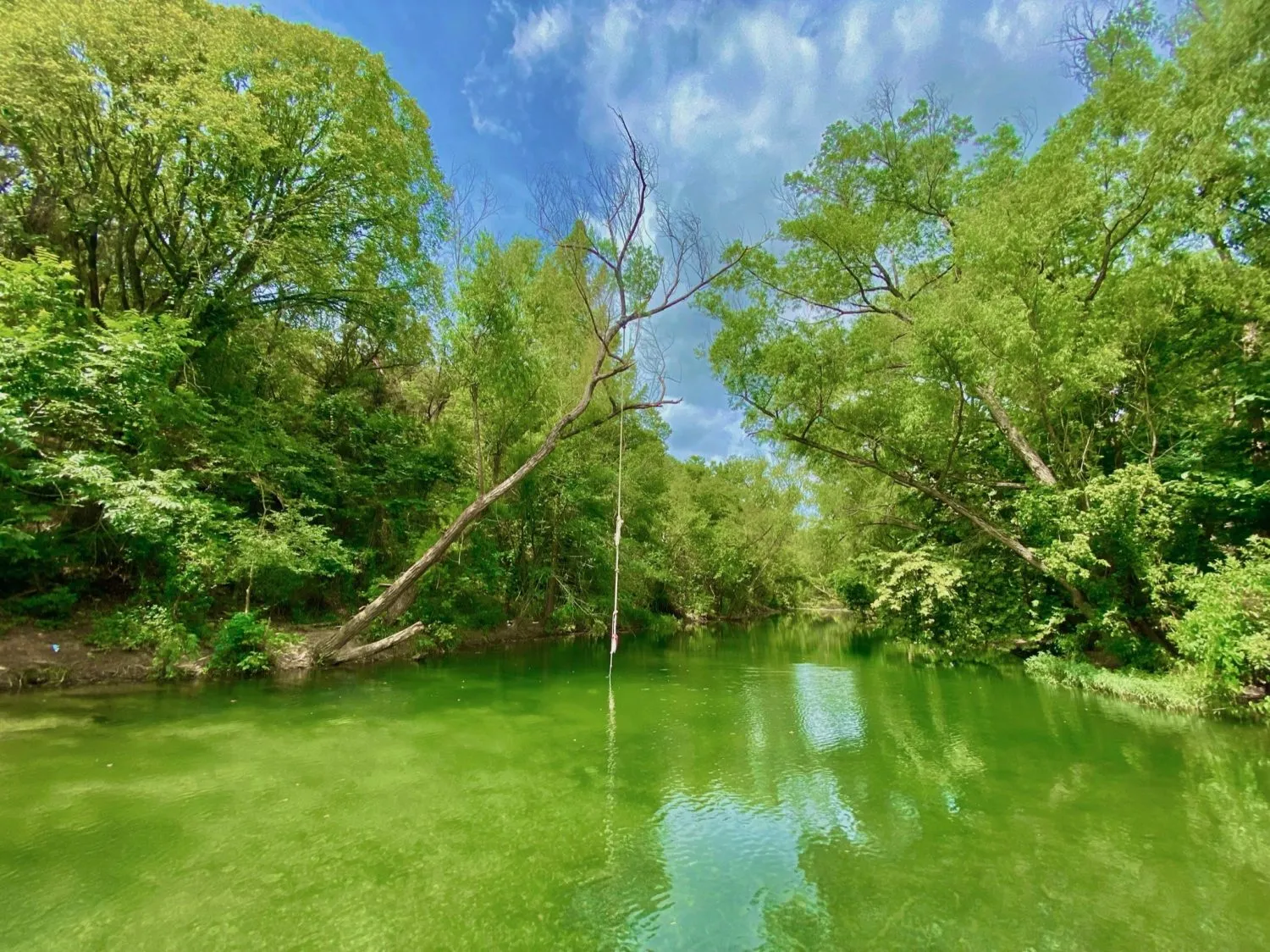 St. Edward’s Park