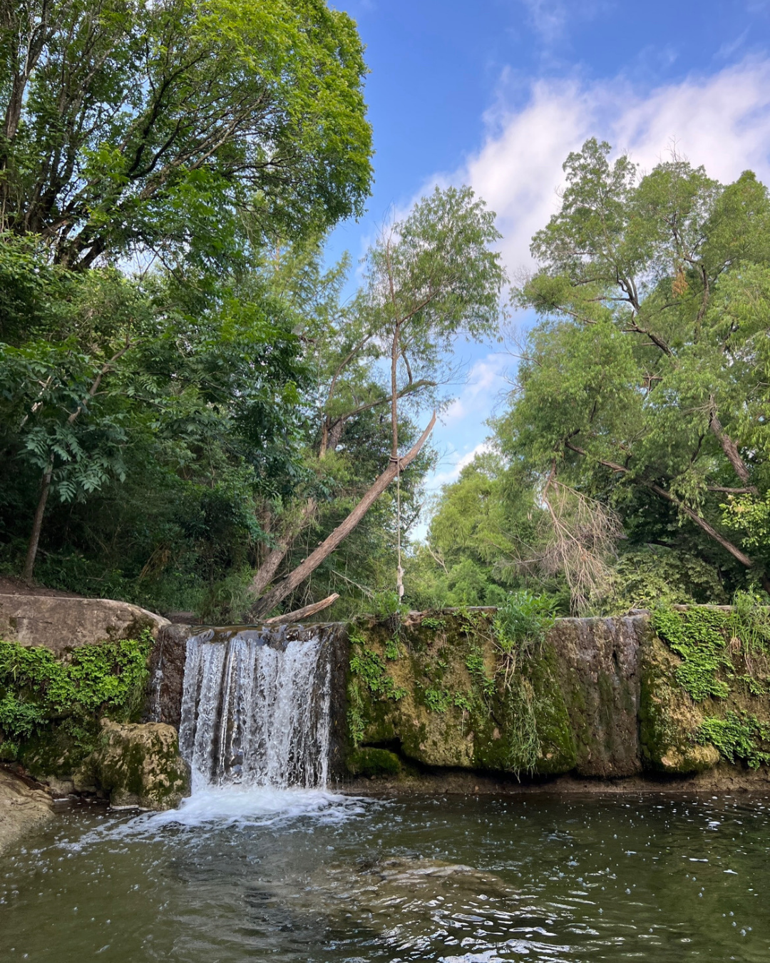 St. Edward’s Park