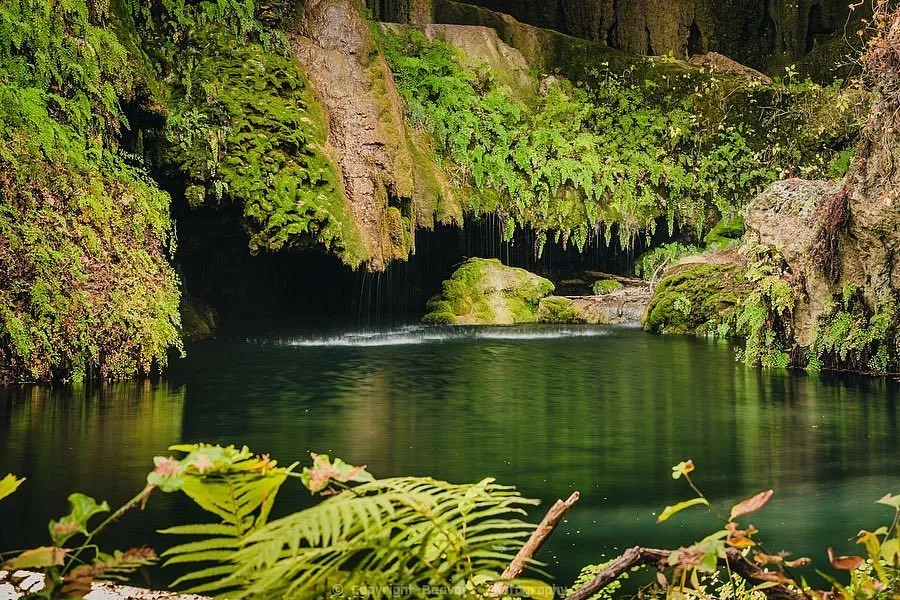 West Cave Preserve
