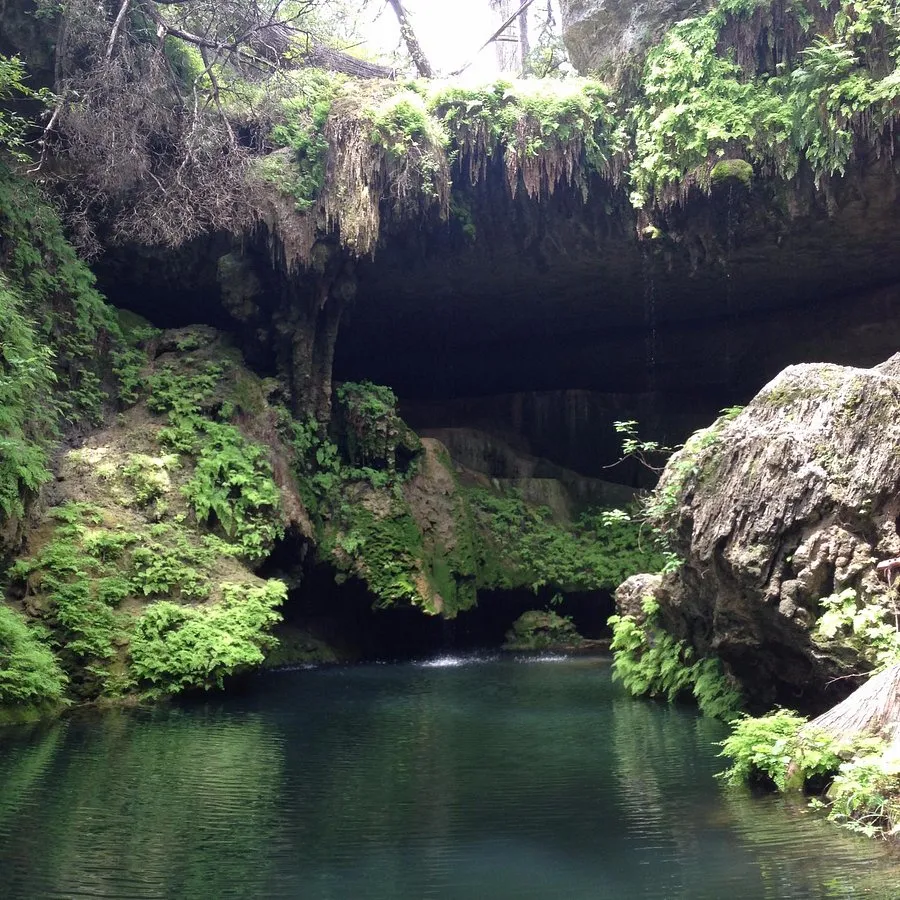 West Cave Preserve