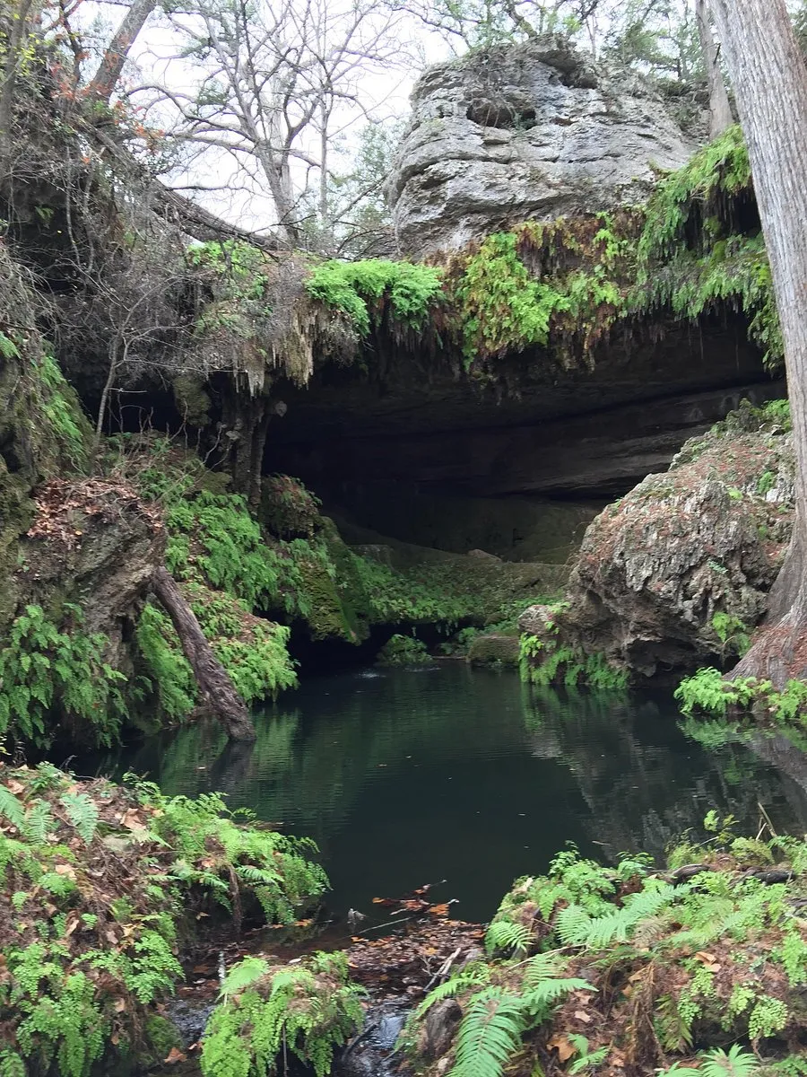 West Cave Preserve