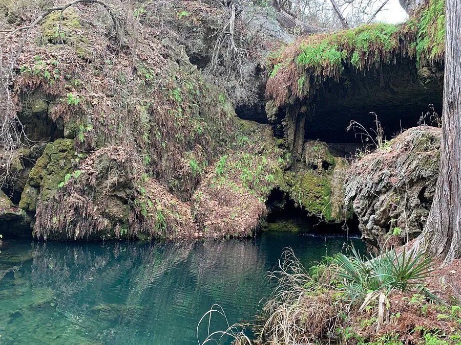 West Cave Preserve